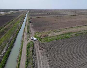 Aztasarrufat Cotton Fields: Large-Scale Cultivation and Sustainable Irrigation