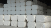 Cotton Fiber